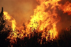 Defesa Civil alerta para o alto risco de incêndios ambientais na região de Maringá